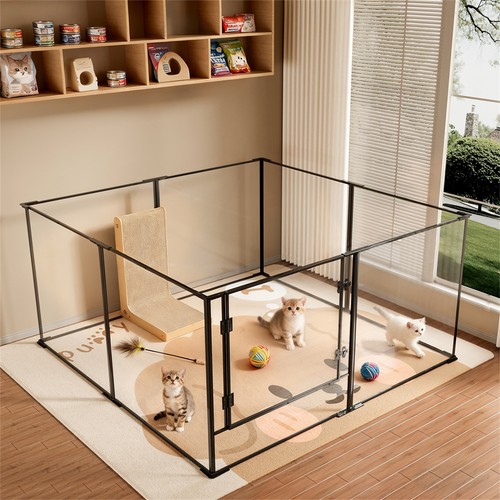 Xxl clear acrylic dog - xxl,