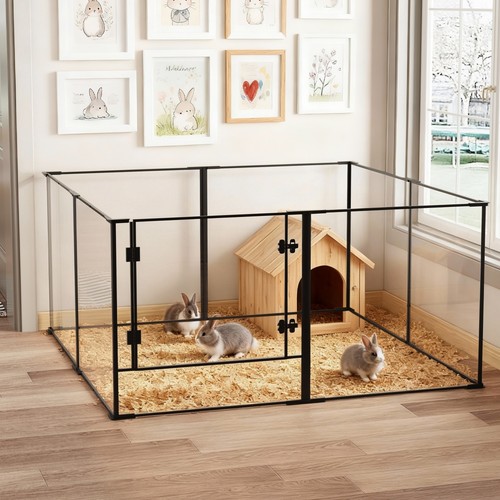 Clear acrylic dog - acrylic,
