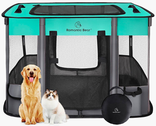 Romantic bear portable pet - bear,