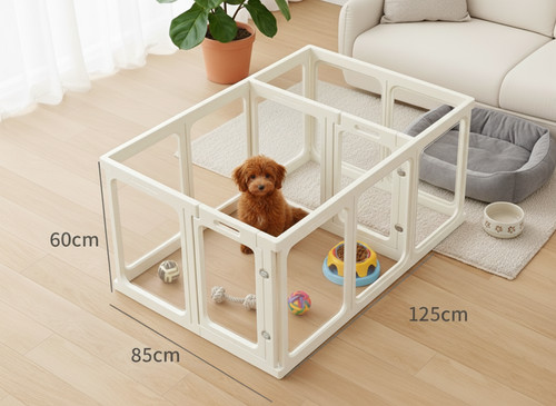 Clear acrylic dog - acrylic,